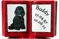 Herz-Buch "Buddy"