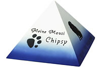 gs-1,5-15-weiss-dunkelblau-pfote01-Cipsy