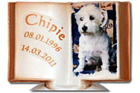 Herz-Tierurnen mit Buch Chipie