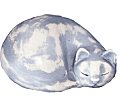 1,3 Liter schlafende Katze 1,3 Liter schlafende Katze