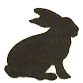 hase-02.jpg